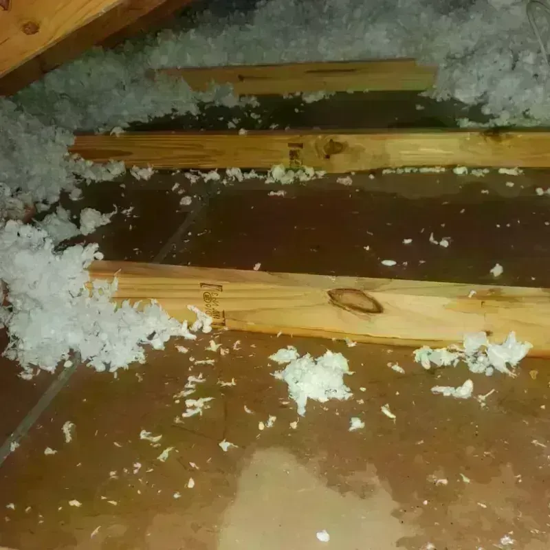 Attic Water Damage in West Orange, TX