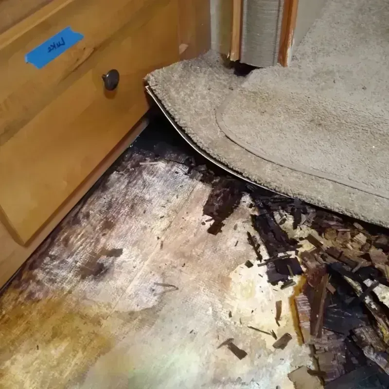 Wood Floor Water Damage in West Orange, TX